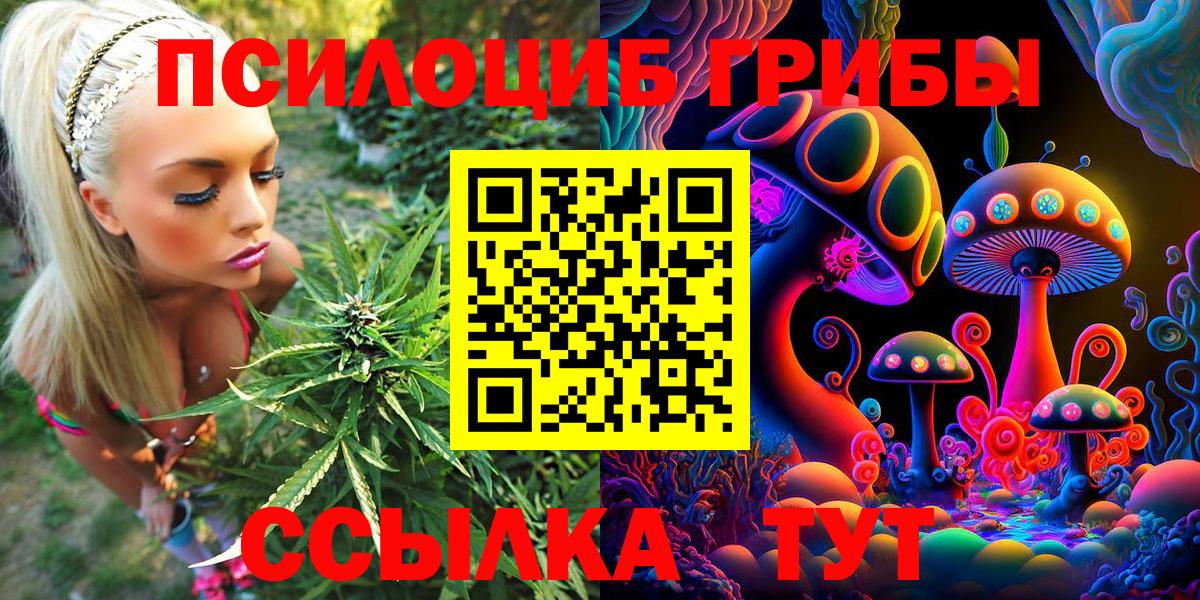Павлово  Псилоцибиновые грибы GOLDEN TEACHER  Вход с VPN 